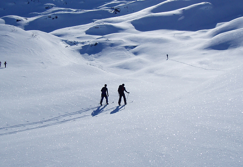 two skiers in a snowy landscape