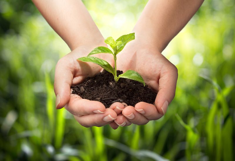 10 Easy Ways To Become A More Eco-Friendly Student