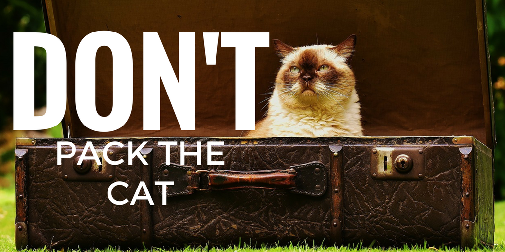 Things you must do before you go to uni - cat