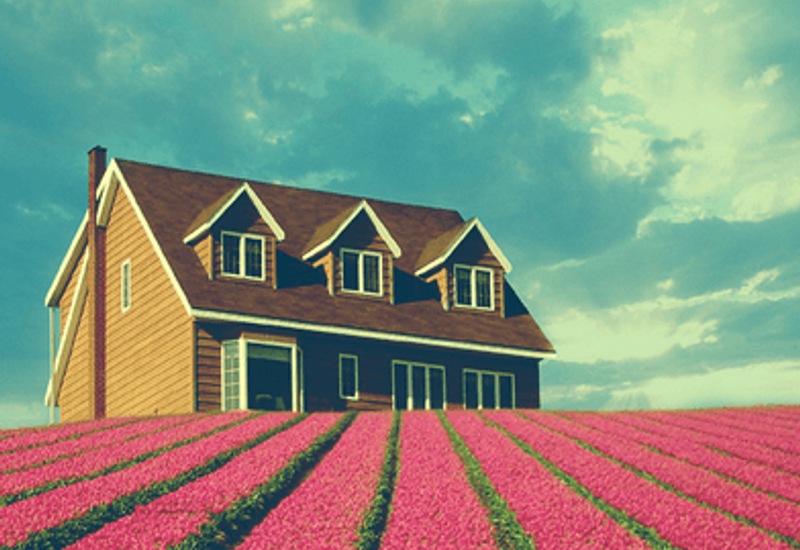 nice home in a field of flowers
