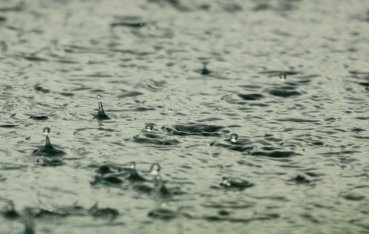 rain falling on a pond
