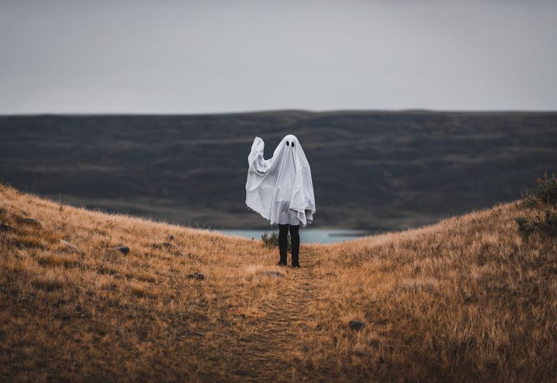 person dressed as a ghost with a bedsheet in the countryside